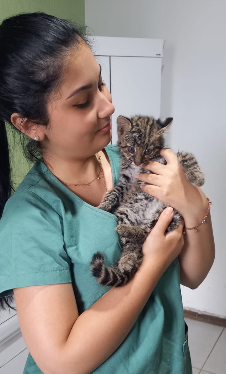 Atendimento &agrave; domic&iacute;lio